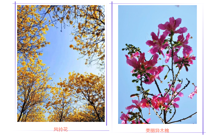 微信图片_20200410190248.png