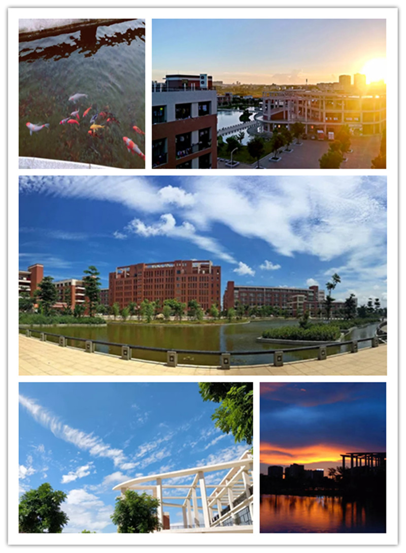 f46ab5546a1e633fa765291fab4a0c3f-sz_136714.webp_副本.jpg