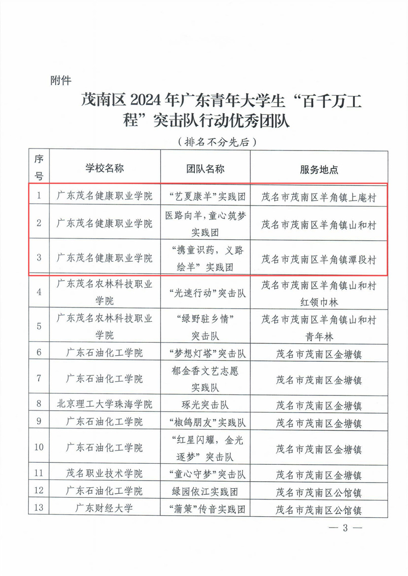 关于公布茂名市茂南区2024年广东青年大学生“百千万工程”突击队行动优秀团队的通知(5)_02.jpg
