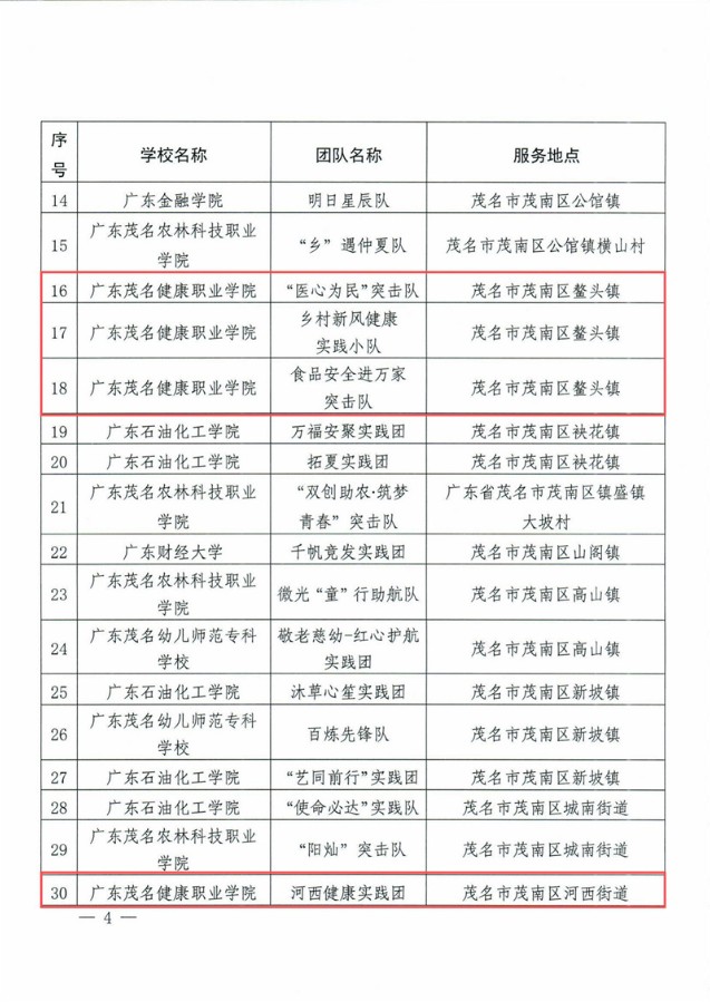 关于公布茂名市茂南区2024年广东青年大学生“百千万工程”突击队行动优秀团队的通知(5)_03.jpg
