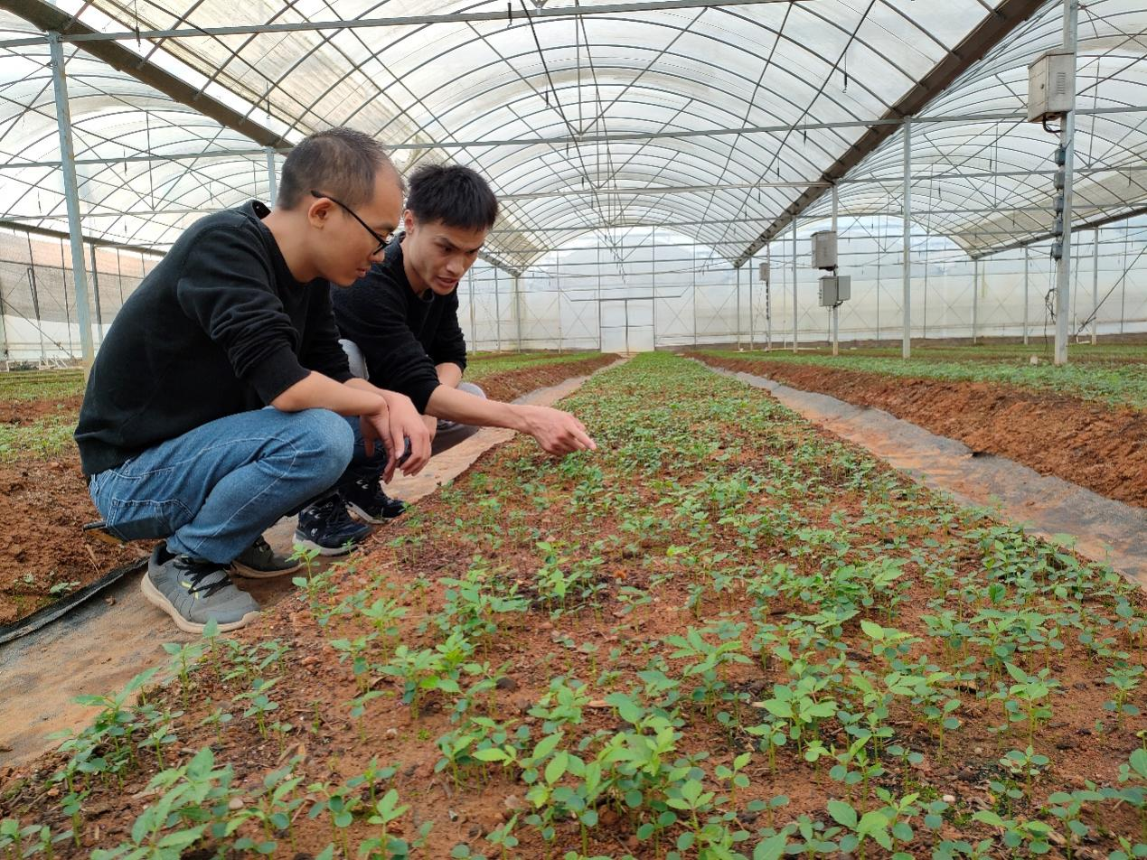 教师在实训基地开展种植研讨.png